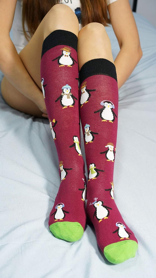-Women 5-Pairs Luxury Cotton Colorful Cool Fun Knee High Socks